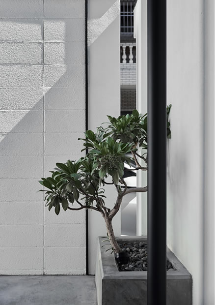 存在建築 ExArch Studio